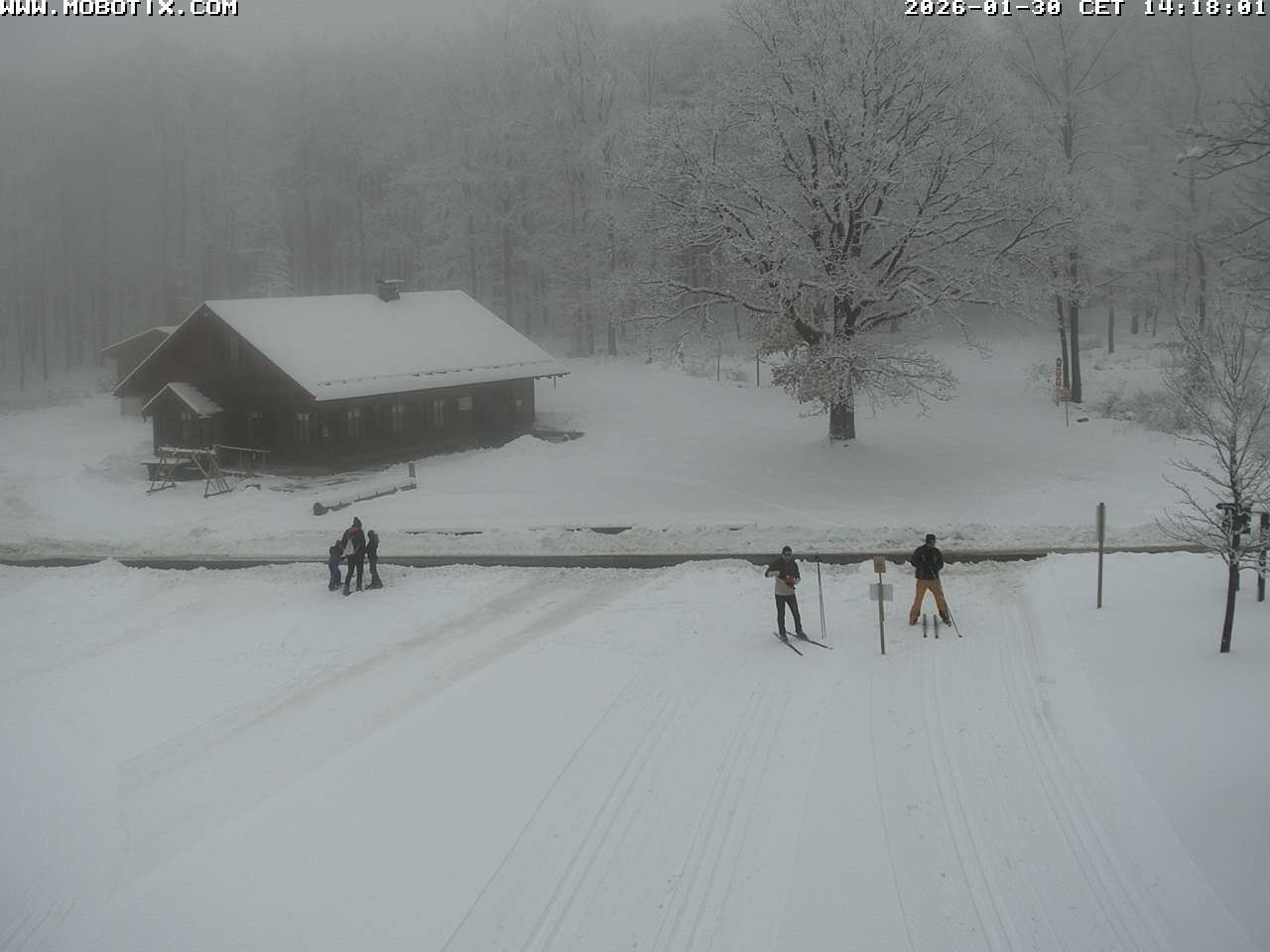 Archived image Webcam Hallenberg - Pastorenwiese