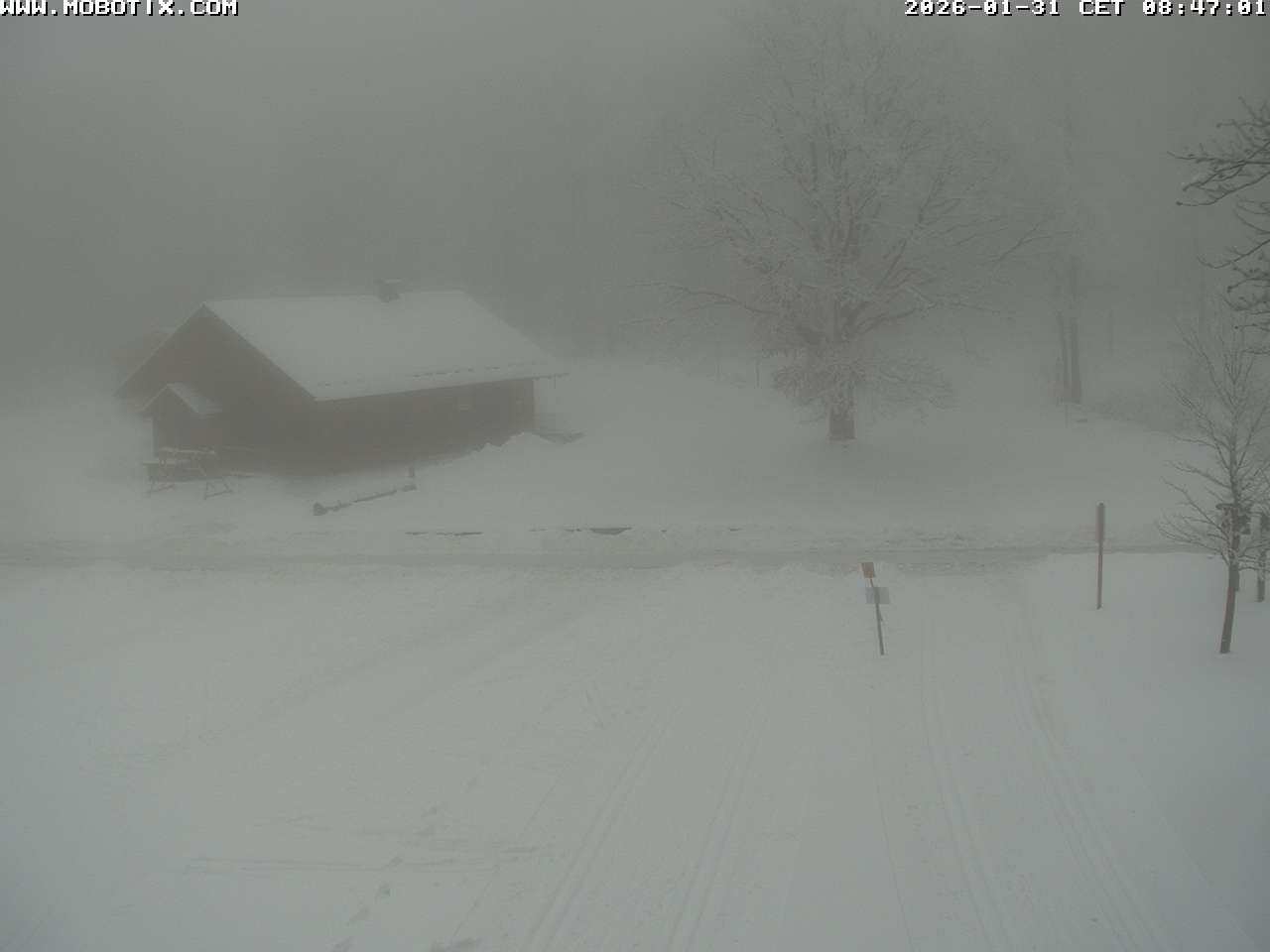 Archived image Webcam Hallenberg - Pastorenwiese