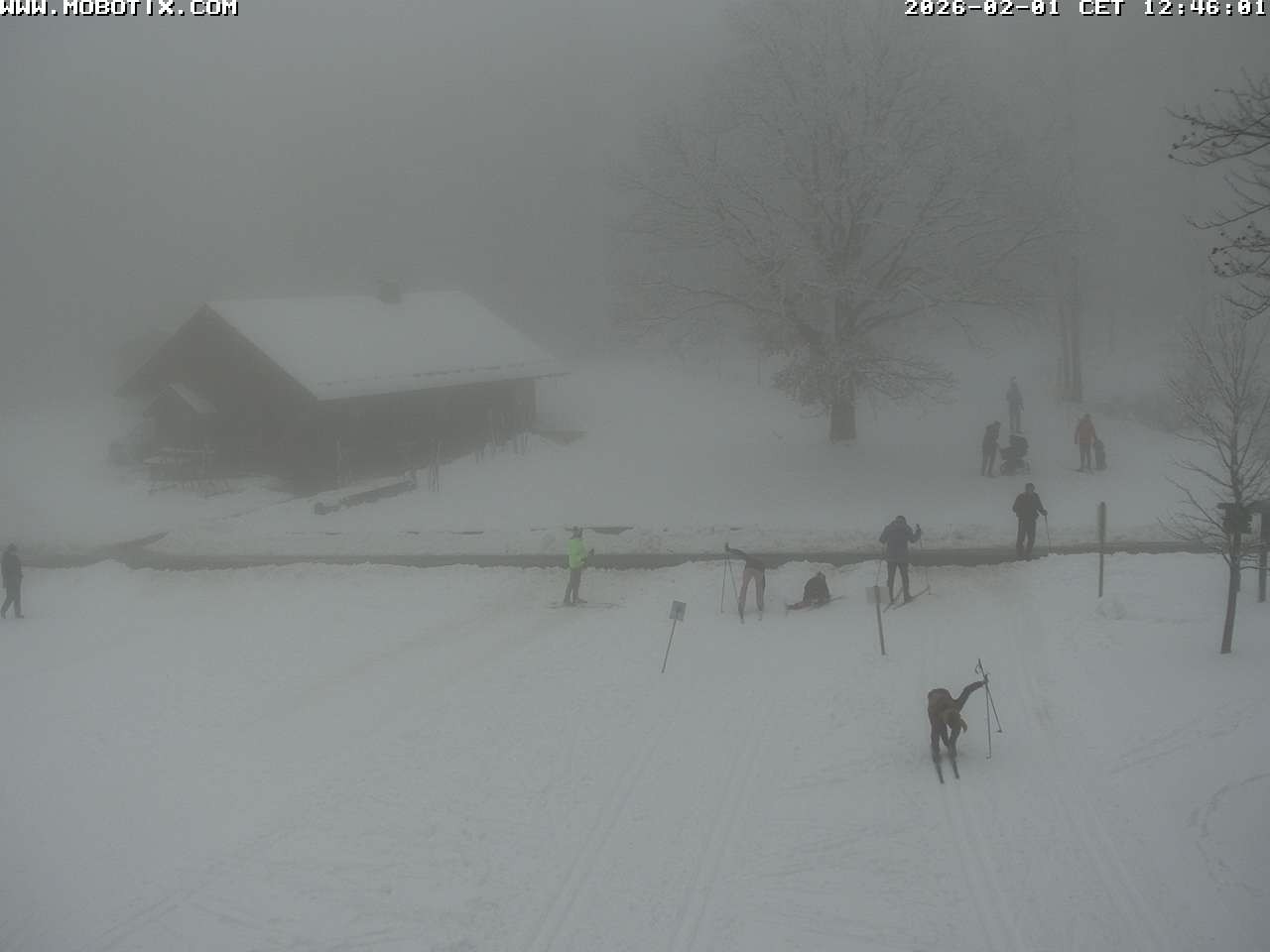 Archiv Foto Webcam Wunderthausen - Pastorenwiese