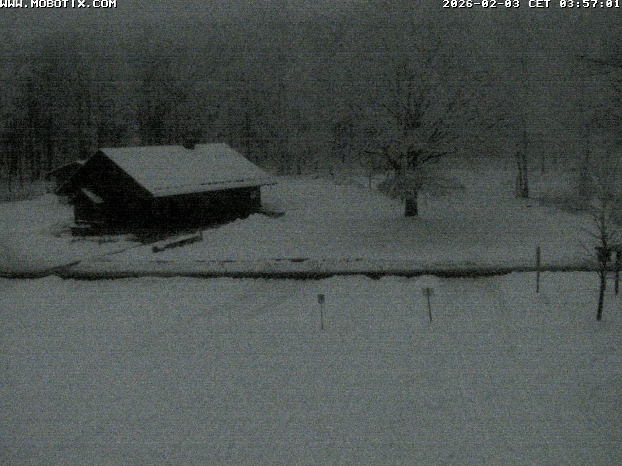 Archived image Webcam Hallenberg - Pastorenwiese