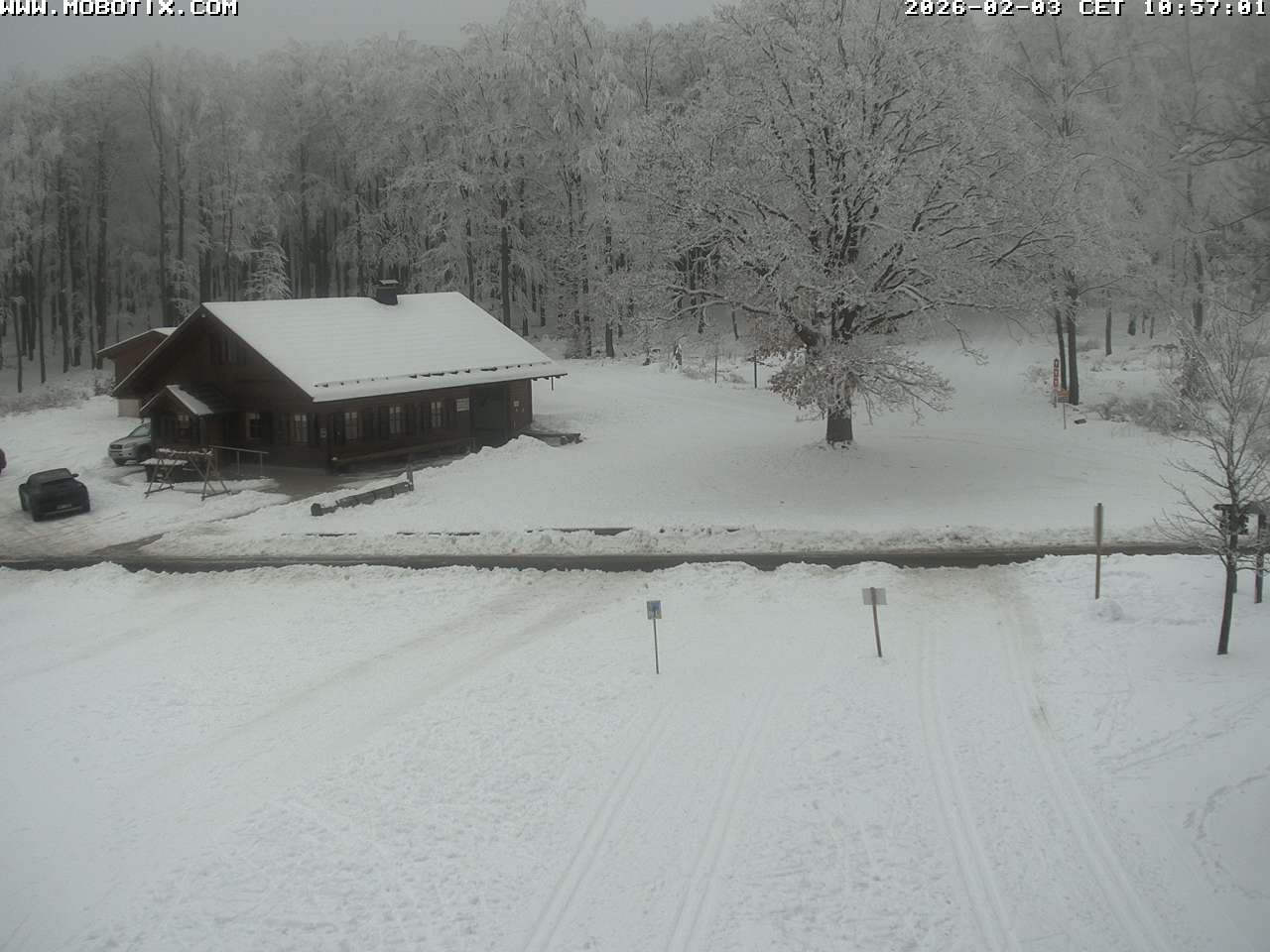 Archived image Webcam Hallenberg - Pastorenwiese