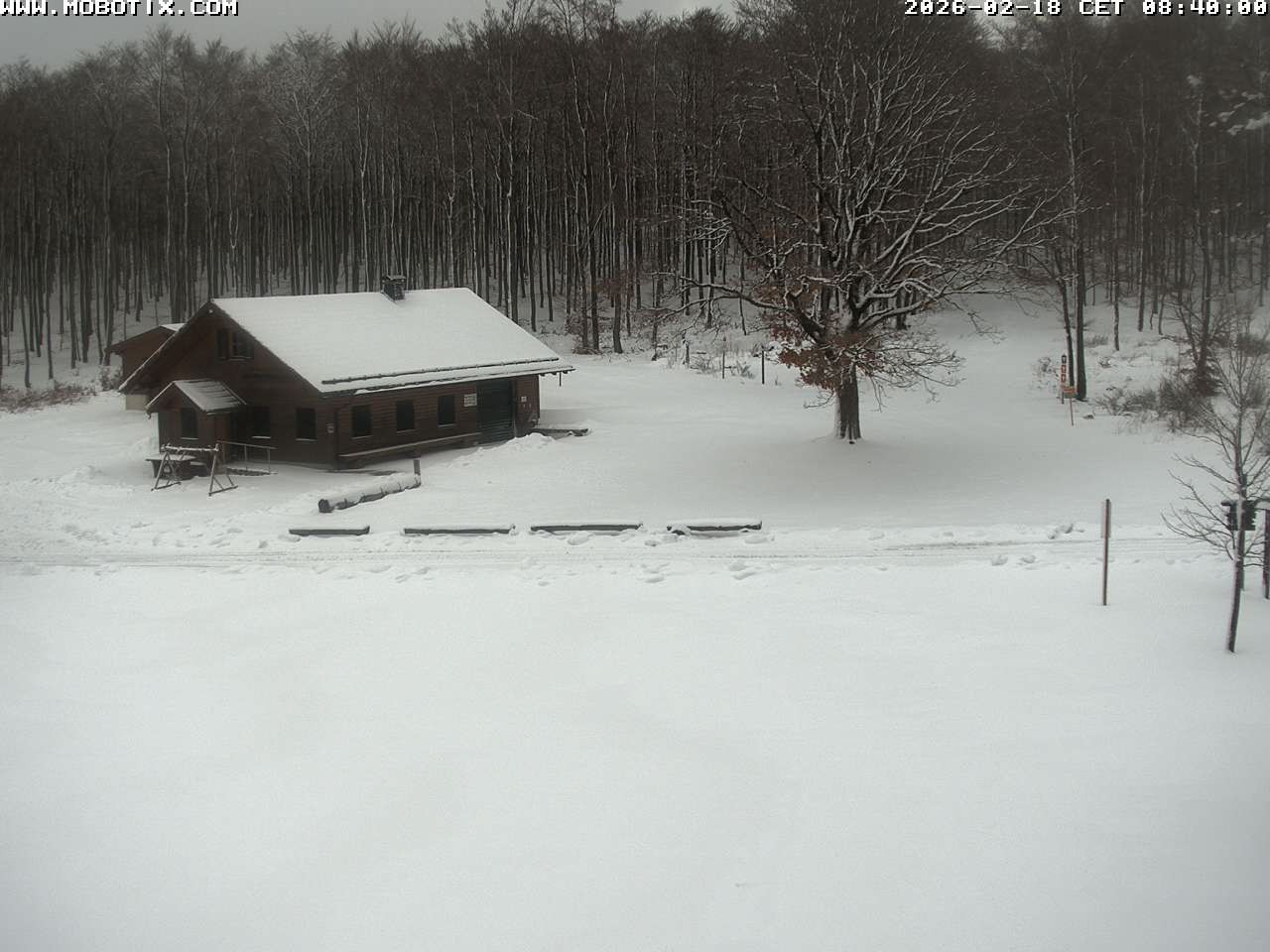 Archiv Foto Webcam Wunderthausen - Pastorenwiese