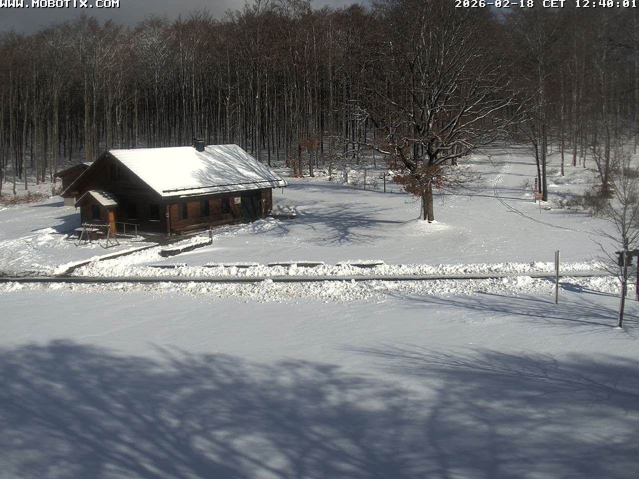 Archiv Foto Webcam Wunderthausen - Pastorenwiese