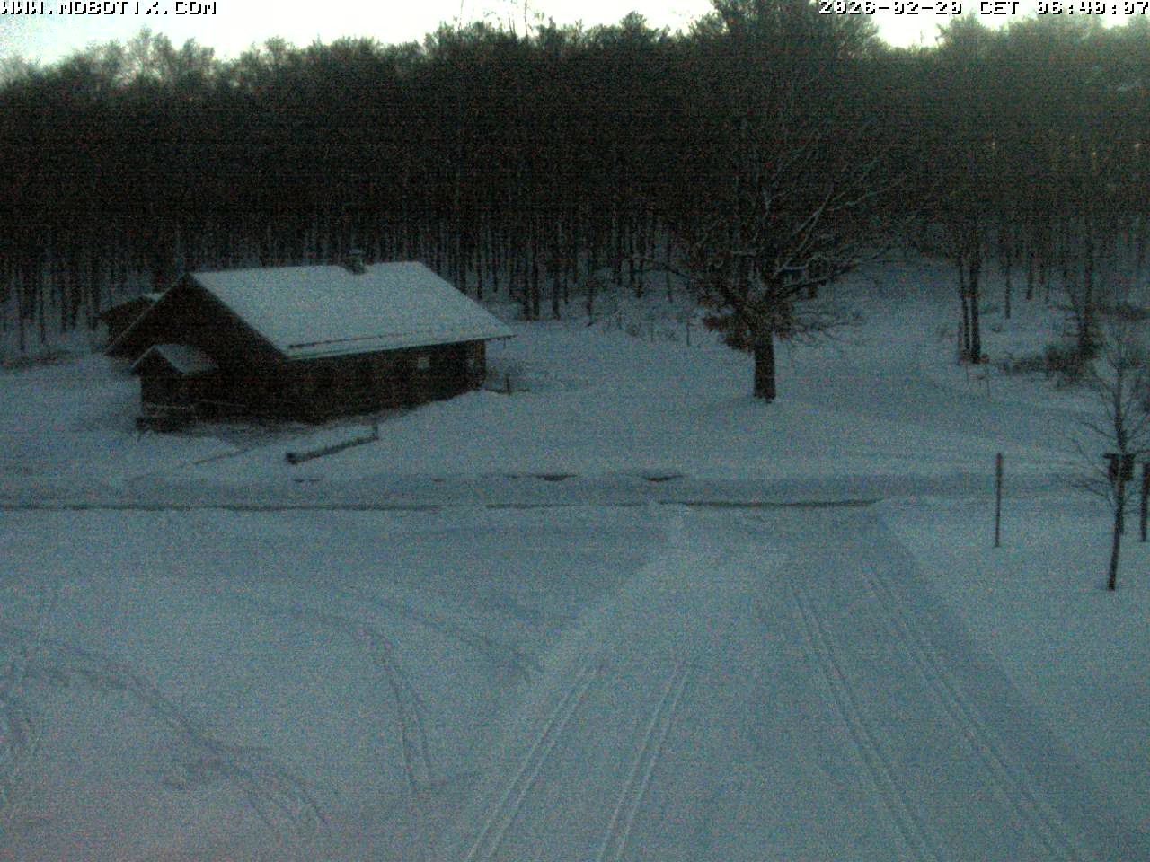 Archived image Webcam Hallenberg - Pastorenwiese