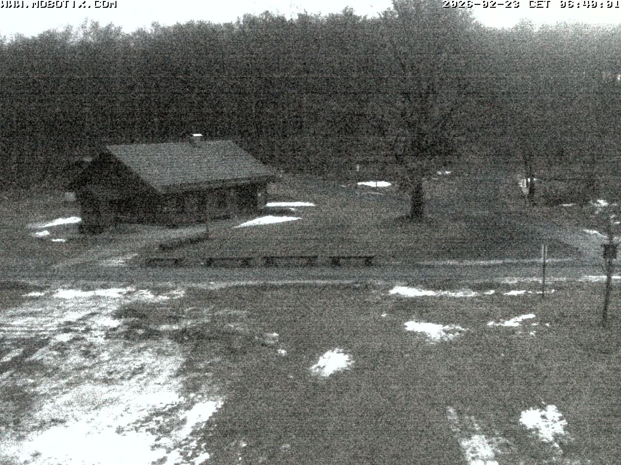 Archived image Webcam Hallenberg - Pastorenwiese