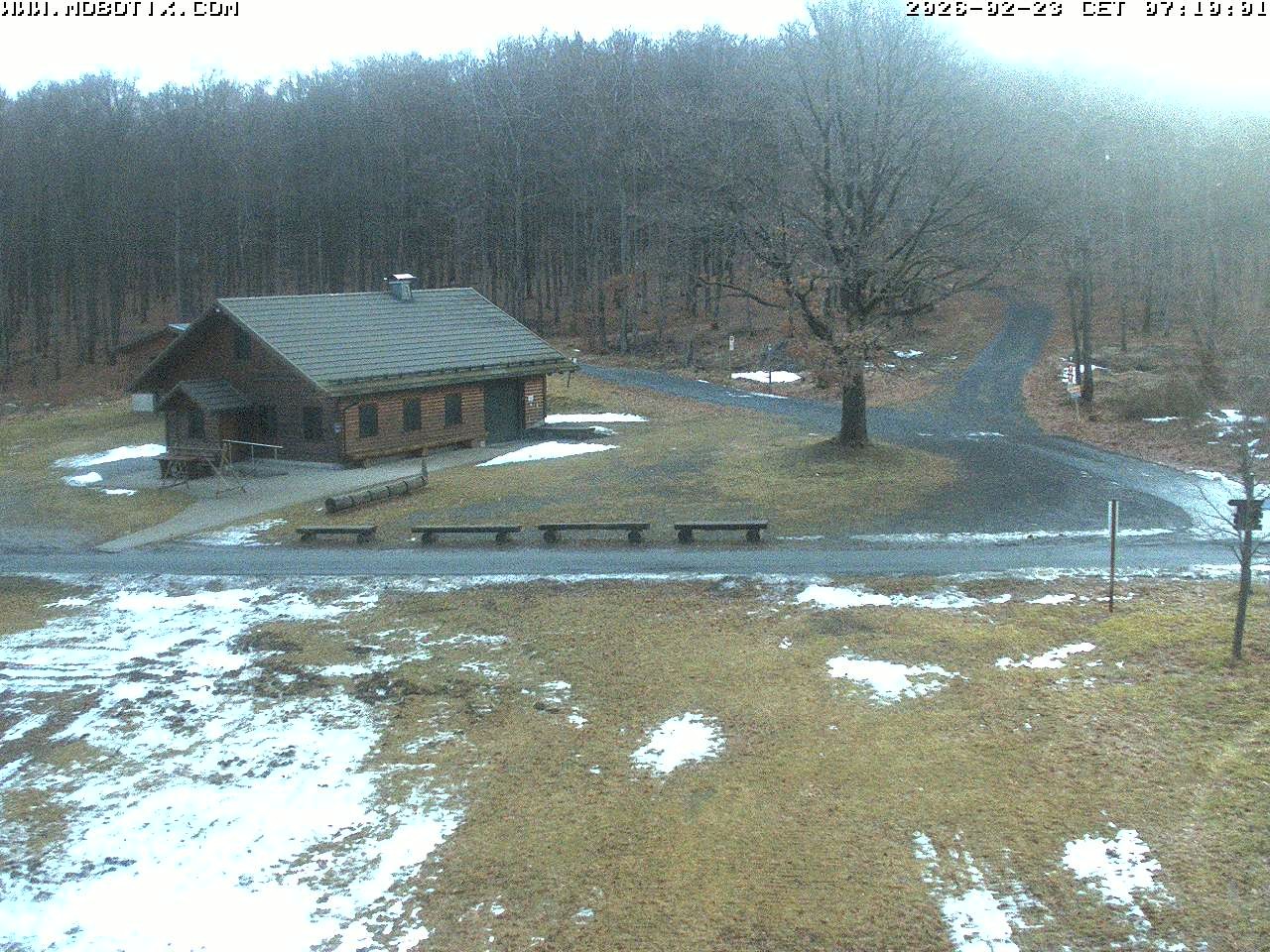 Archived image Webcam Hallenberg - Pastorenwiese