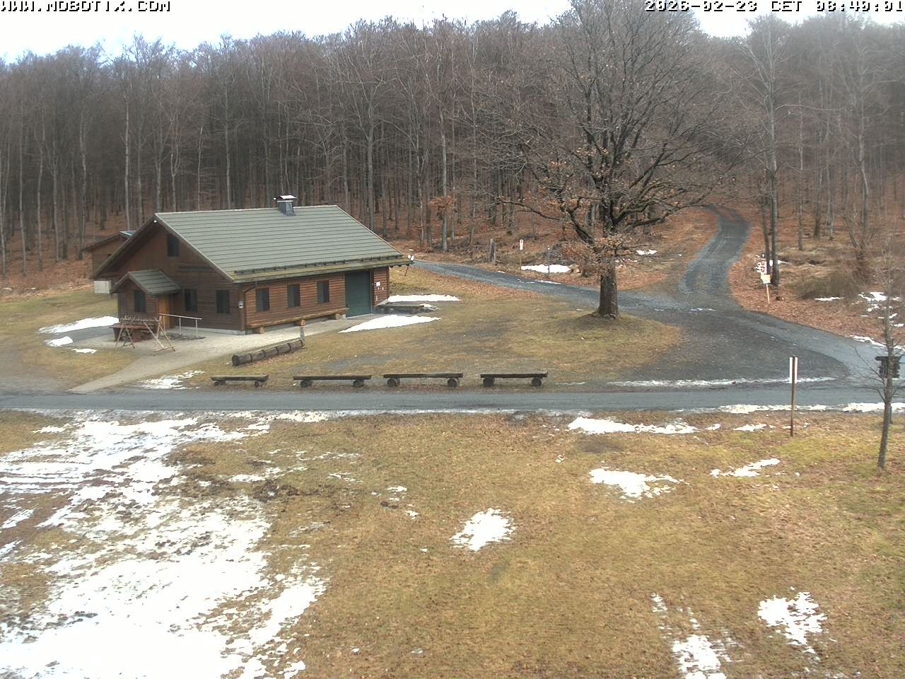 Archived image Webcam Hallenberg - Pastorenwiese