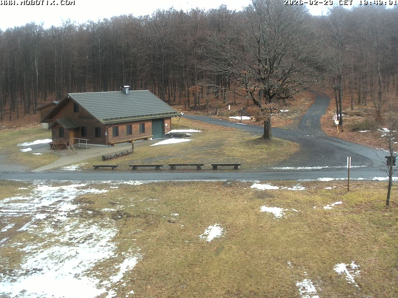 Archived image Webcam Hallenberg - Pastorenwiese