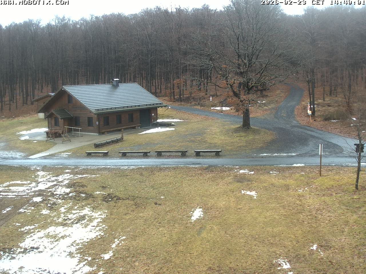 Archived image Webcam Hallenberg - Pastorenwiese