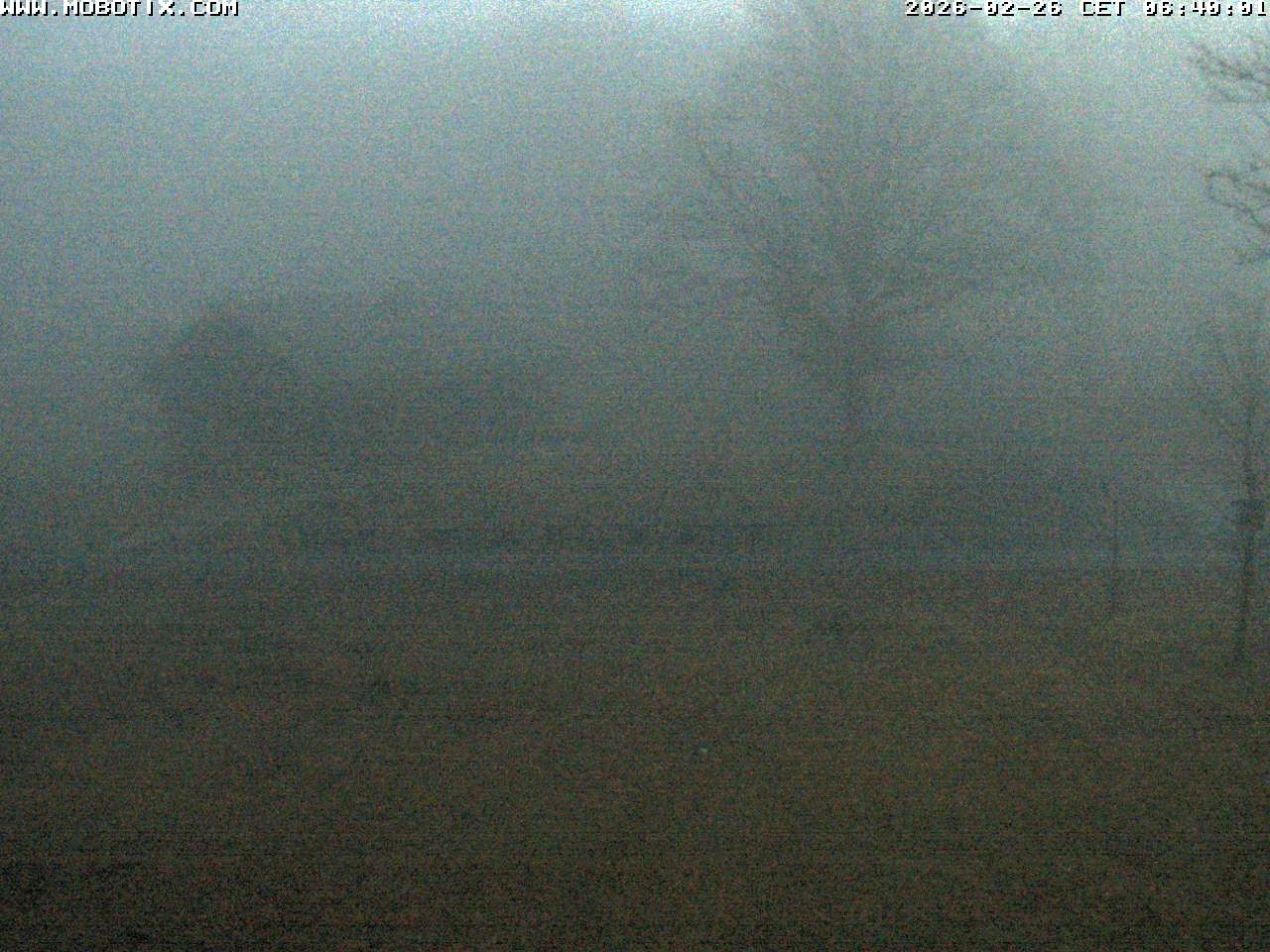 Archived image Webcam Hallenberg - Pastorenwiese