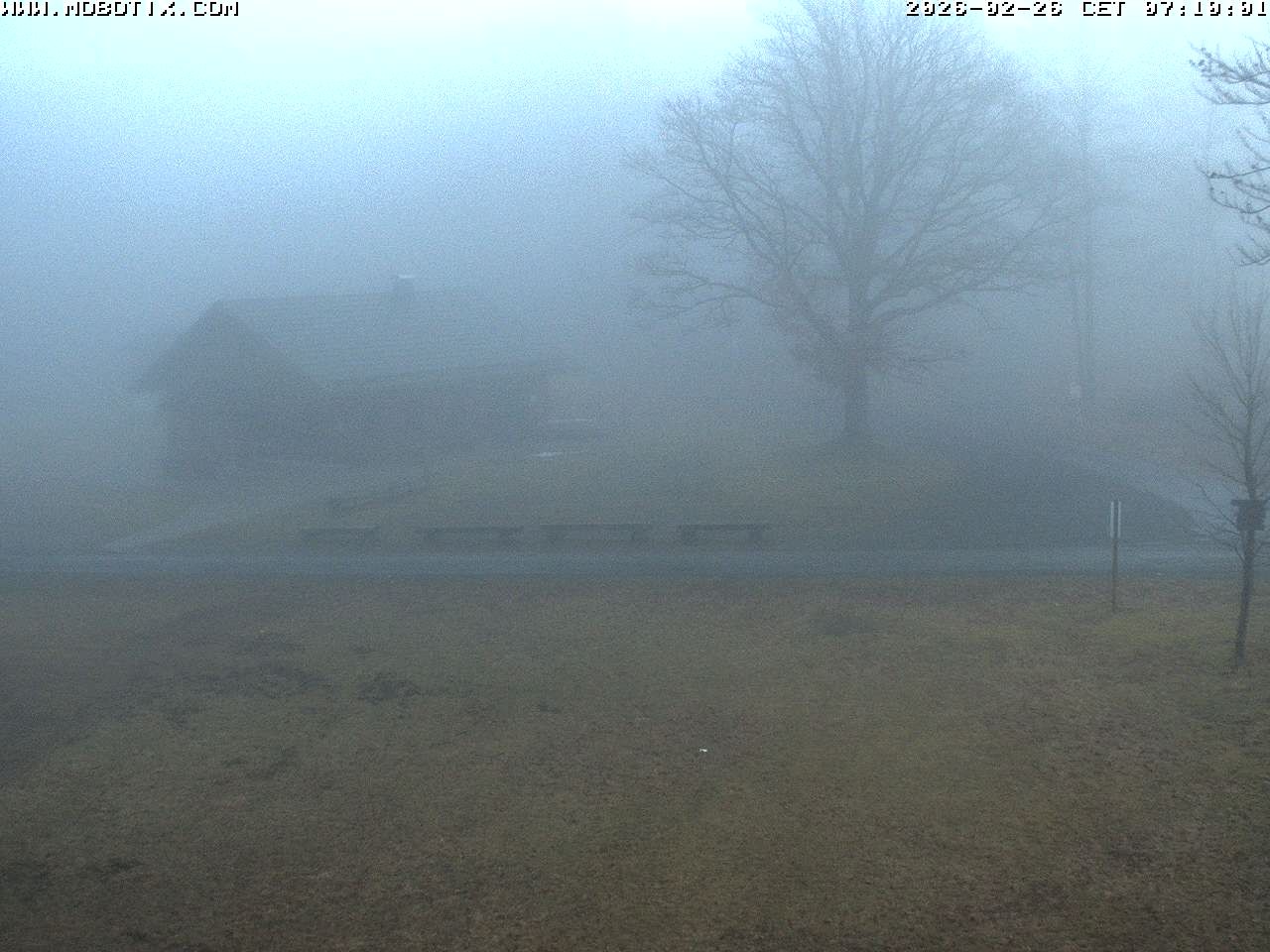 Archived image Webcam Hallenberg - Pastorenwiese