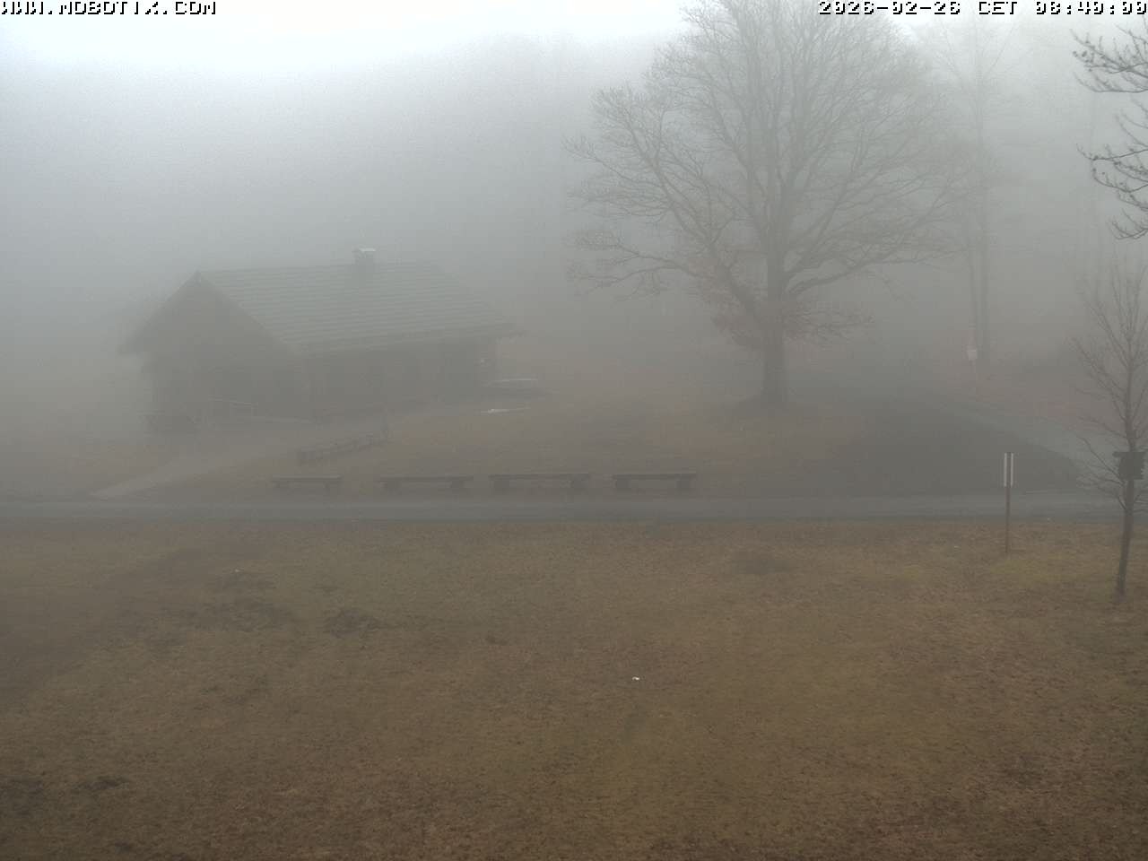 Archived image Webcam Hallenberg - Pastorenwiese