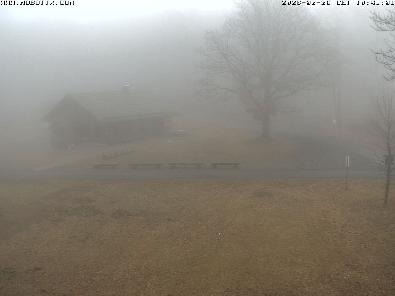 Archived image Webcam Hallenberg - Pastorenwiese