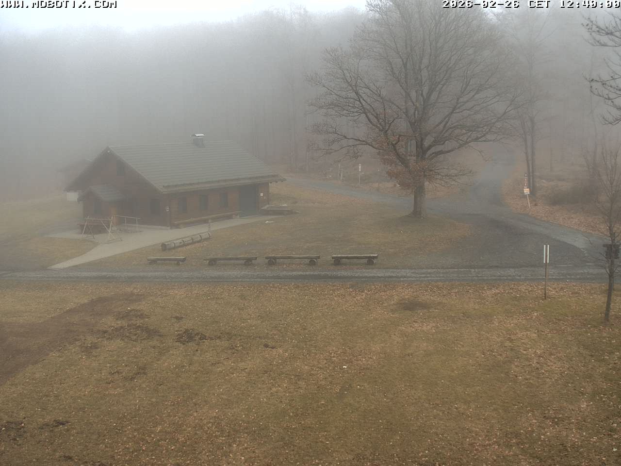 Archived image Webcam Hallenberg - Pastorenwiese