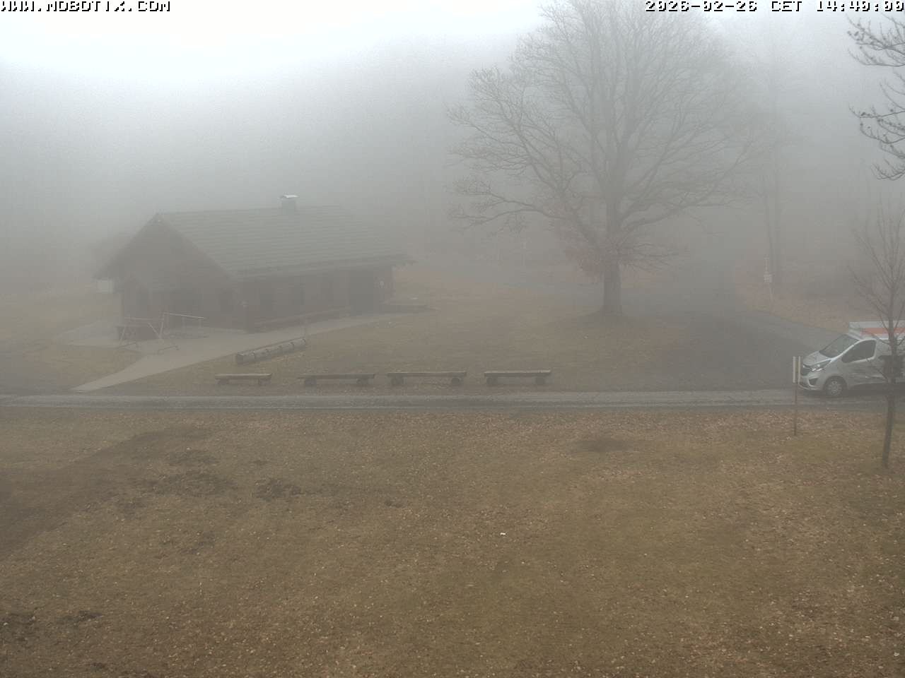 Archived image Webcam Hallenberg - Pastorenwiese