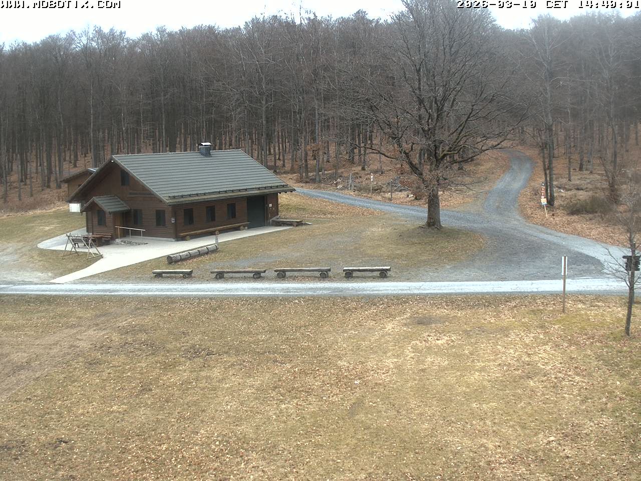 Archived image Webcam Hallenberg - Pastorenwiese