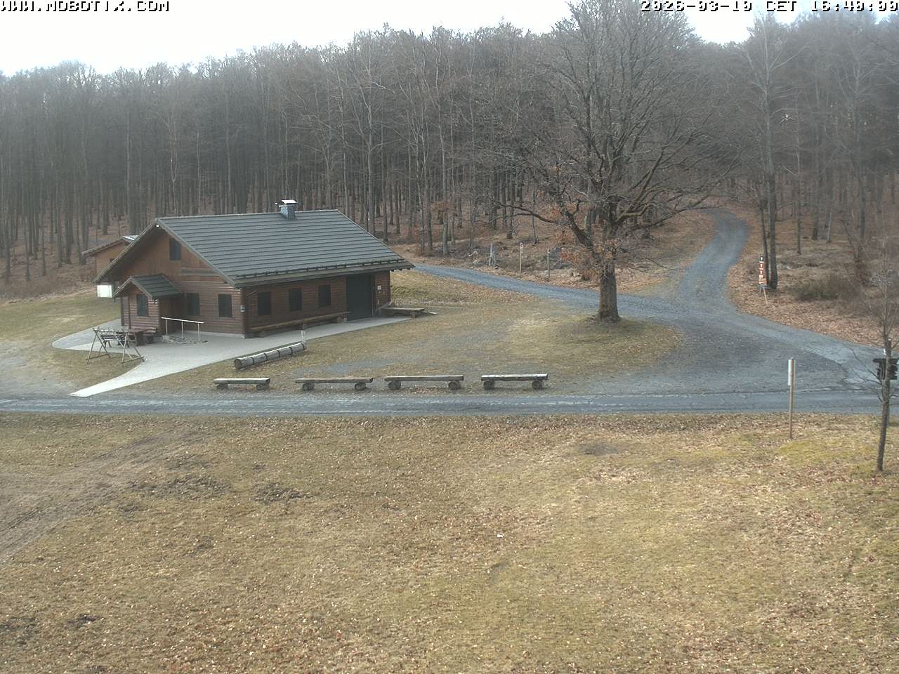 Archived image Webcam Hallenberg - Pastorenwiese