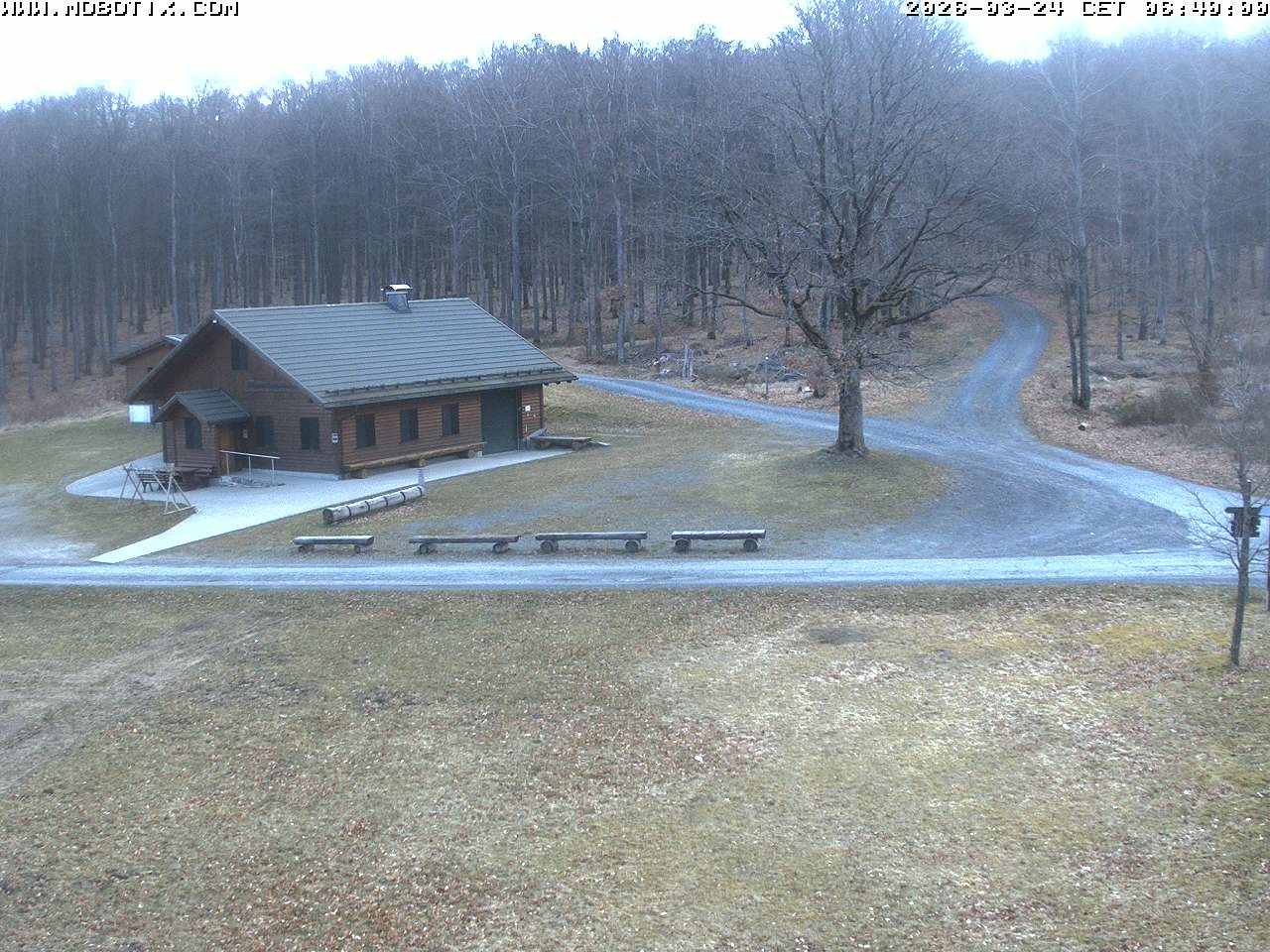 Archived image Webcam Hallenberg - Pastorenwiese