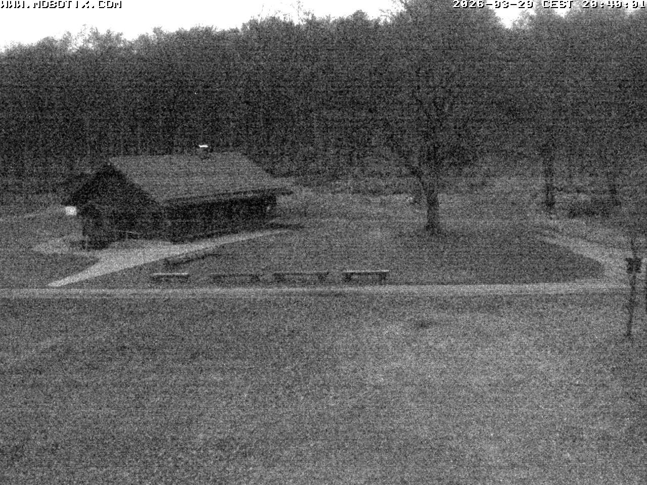 Archived image Webcam Hallenberg - Pastorenwiese