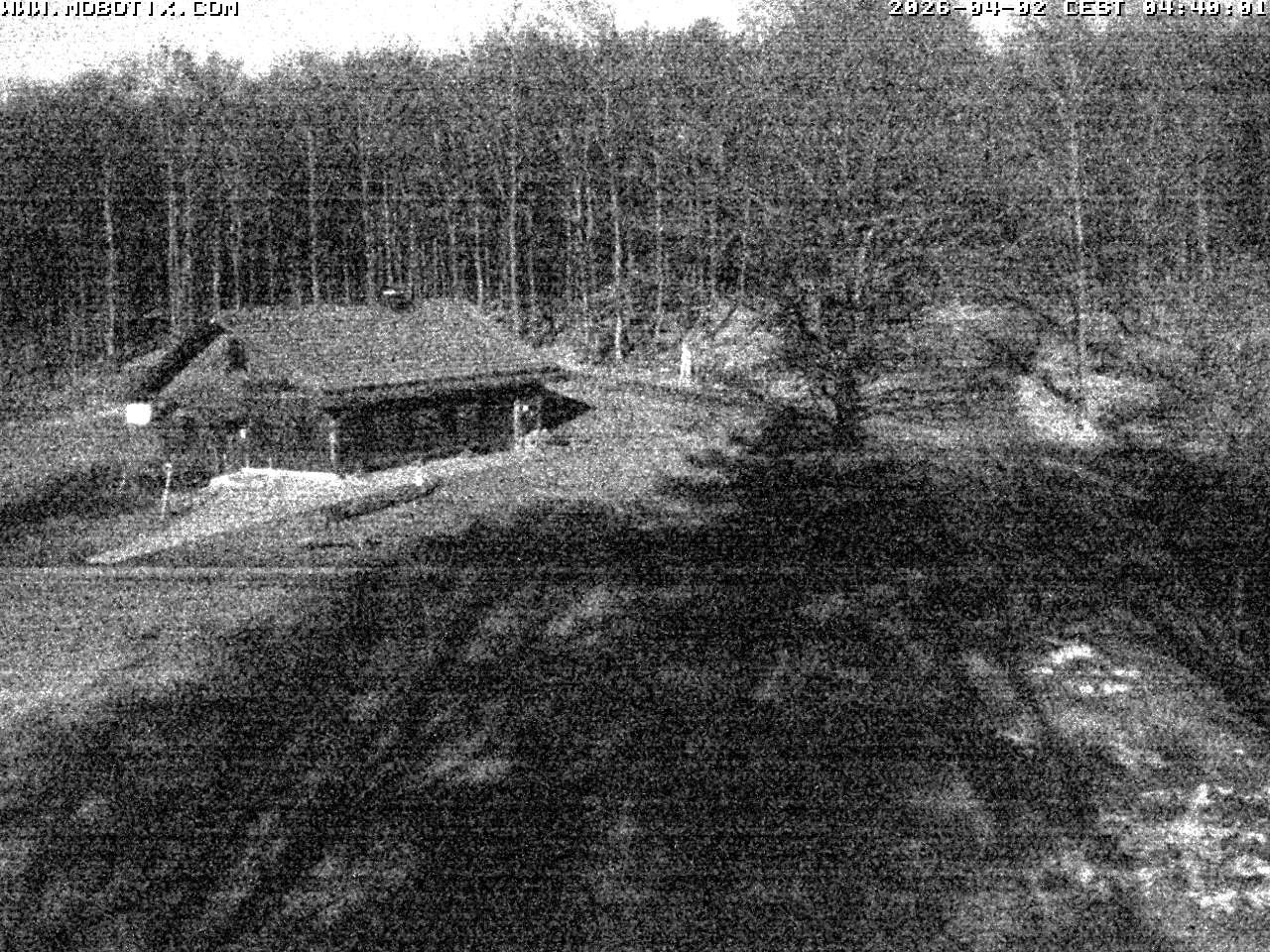 Archiv Foto Webcam Wunderthausen - Pastorenwiese