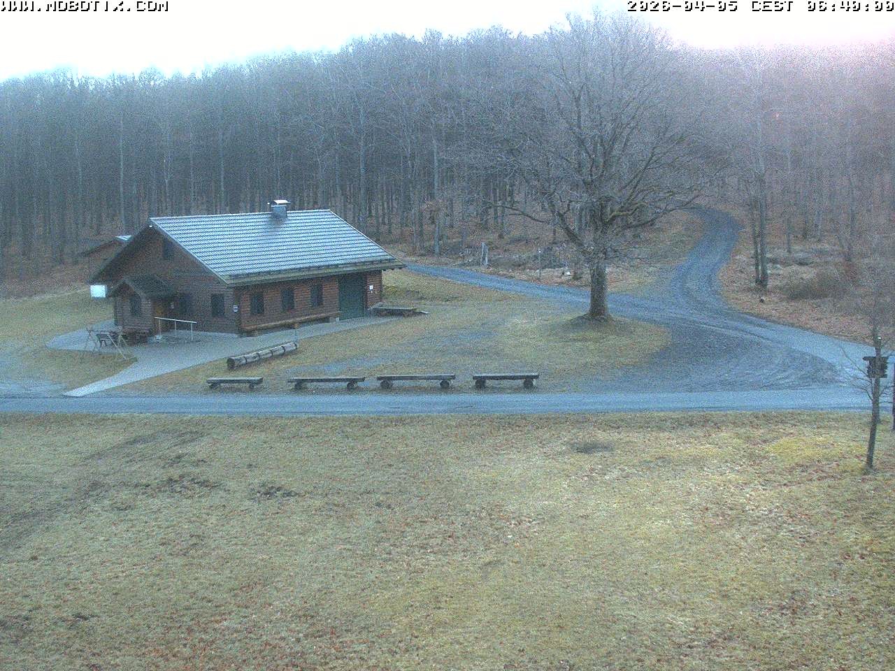 Archived image Webcam Hallenberg - Pastorenwiese