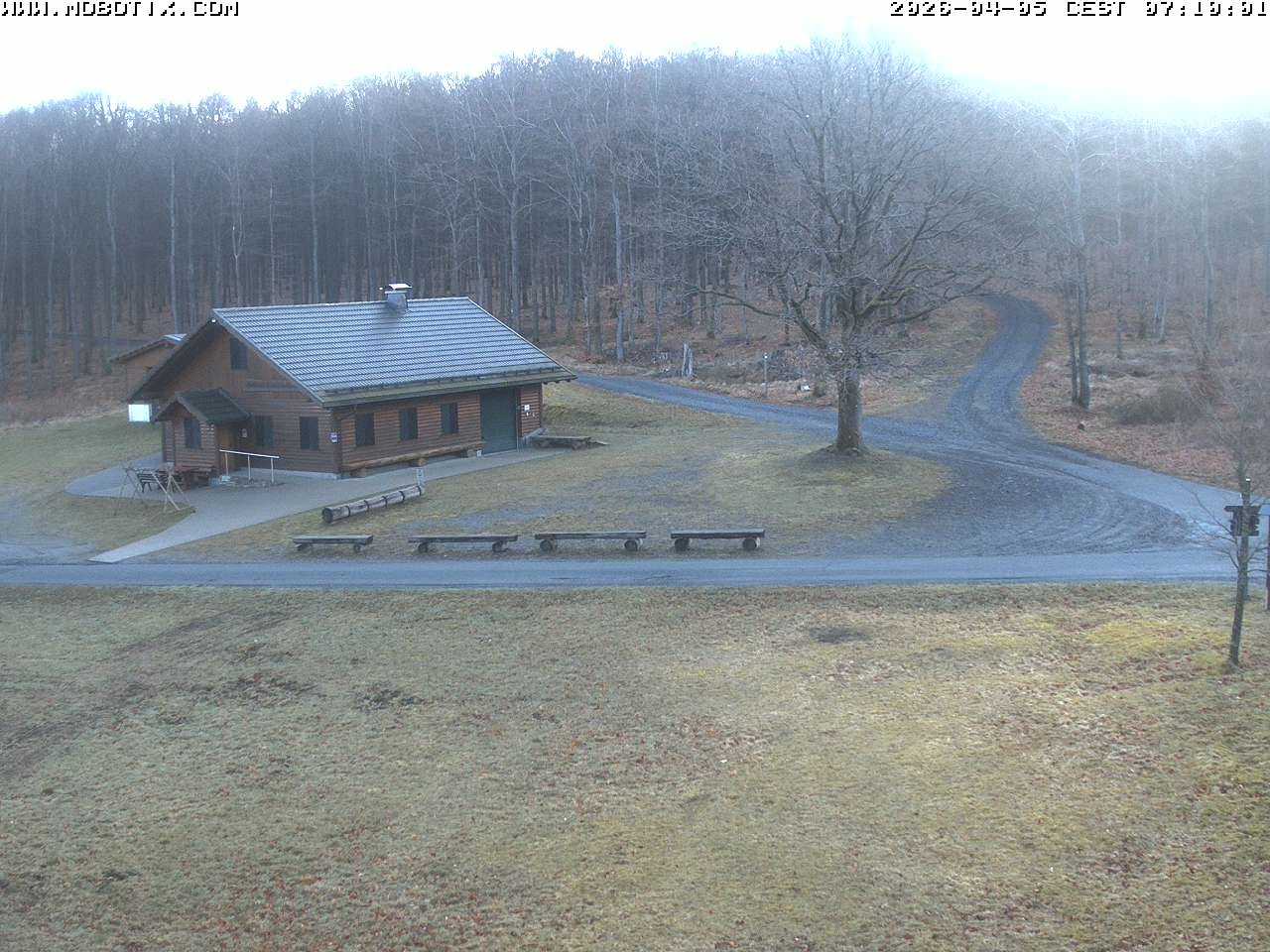 Archived image Webcam Hallenberg - Pastorenwiese