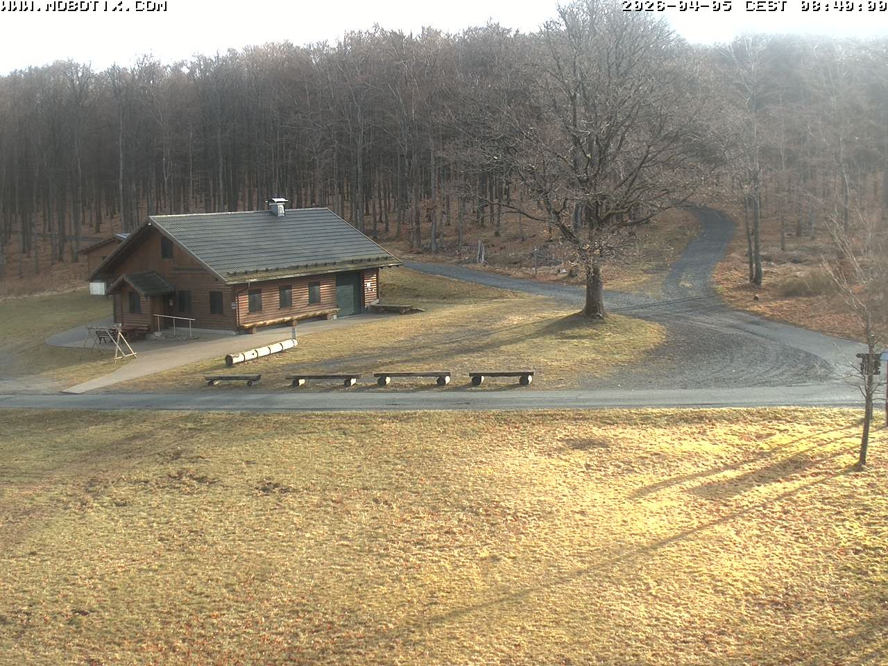 Archived image Webcam Hallenberg - Pastorenwiese