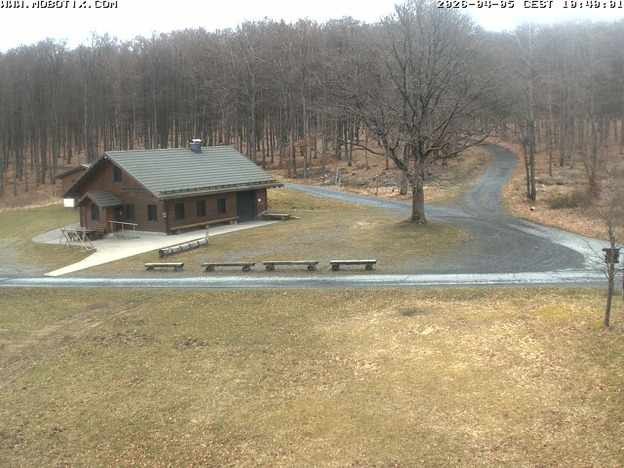 Archived image Webcam Hallenberg - Pastorenwiese