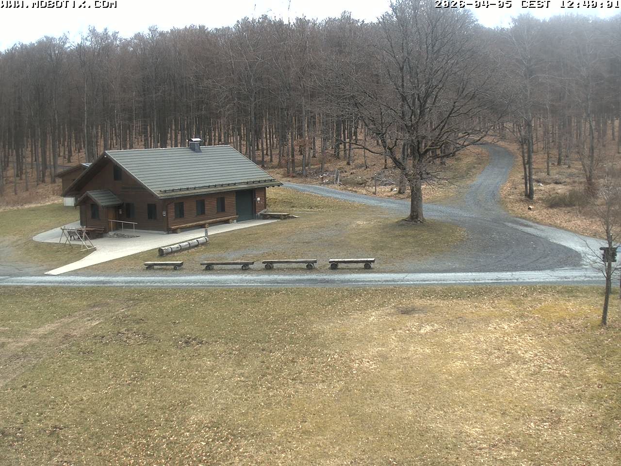 Archived image Webcam Hallenberg - Pastorenwiese