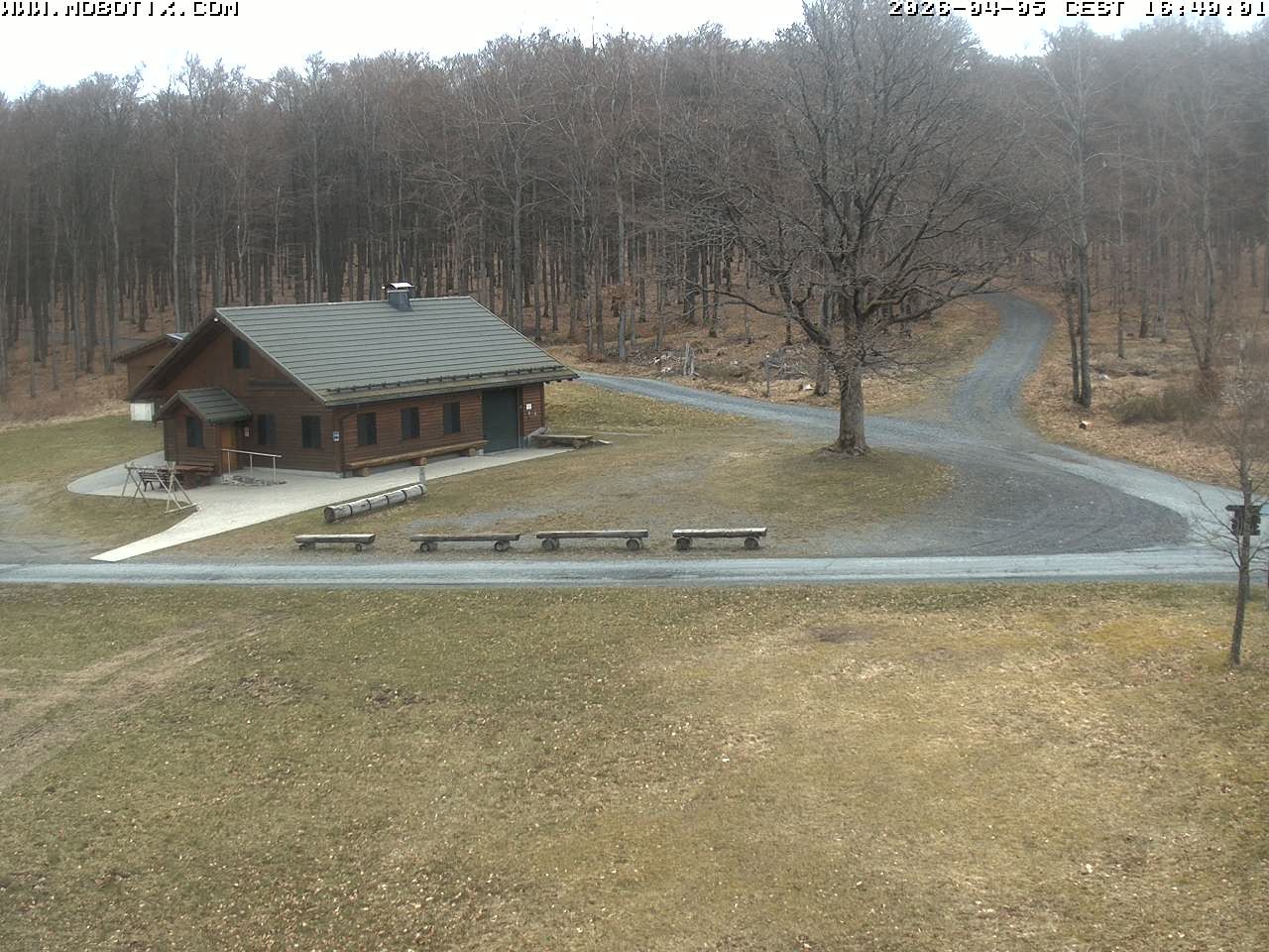 Archived image Webcam Hallenberg - Pastorenwiese