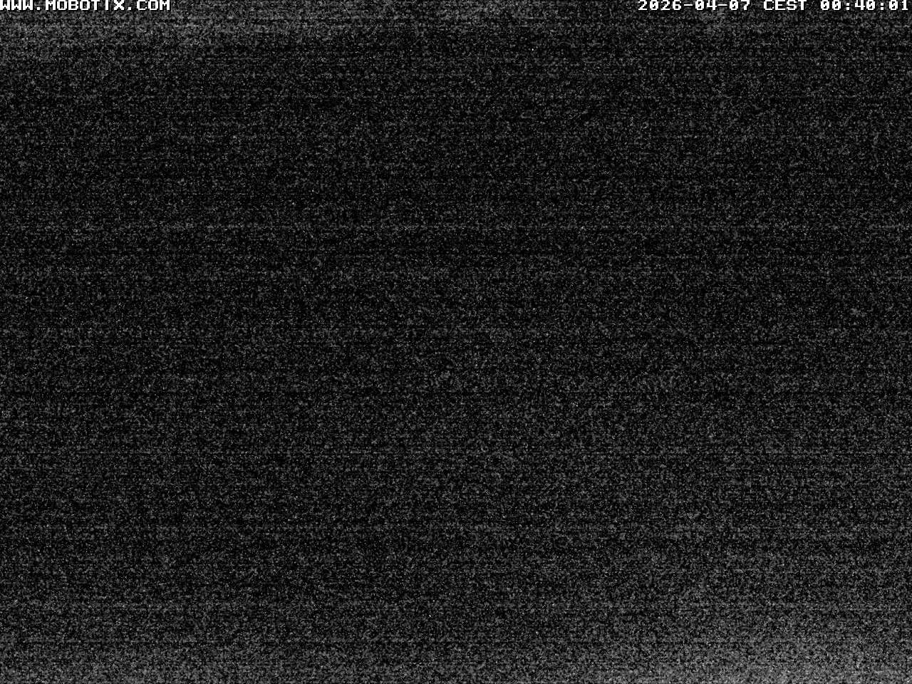 Archived image Webcam Hallenberg - Pastorenwiese