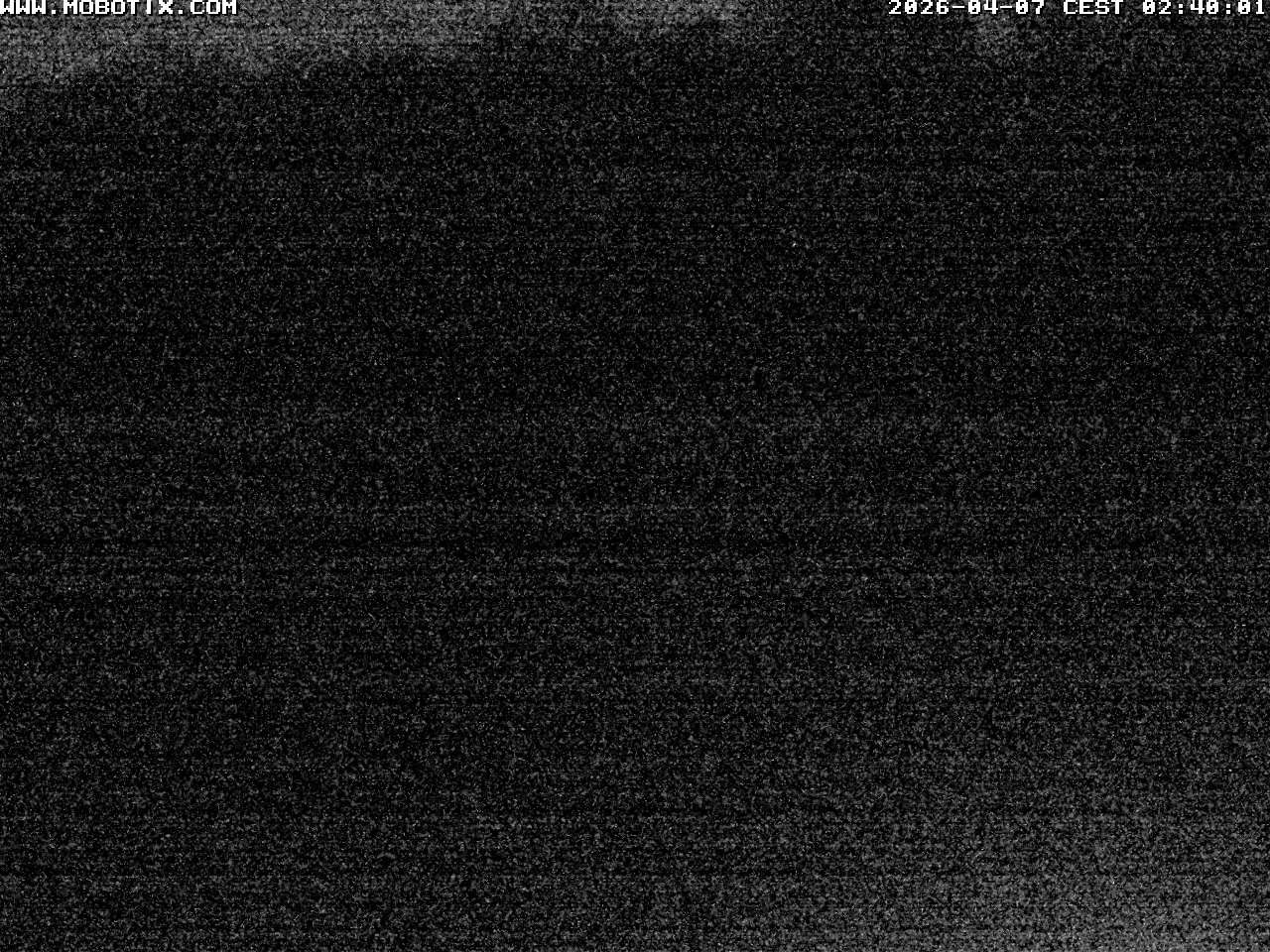 Archived image Webcam Hallenberg - Pastorenwiese