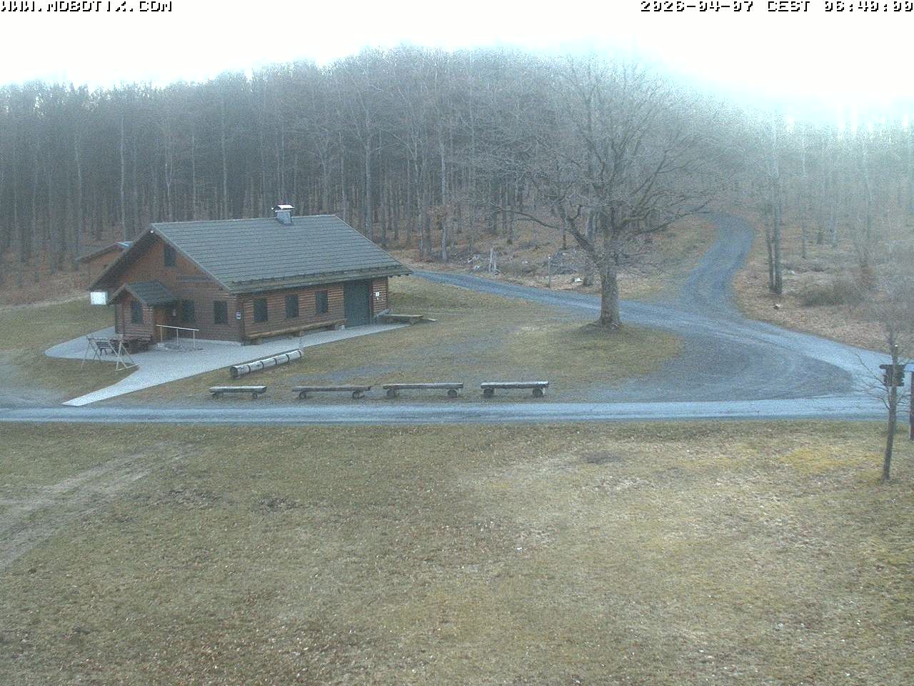 Archived image Webcam Hallenberg - Pastorenwiese