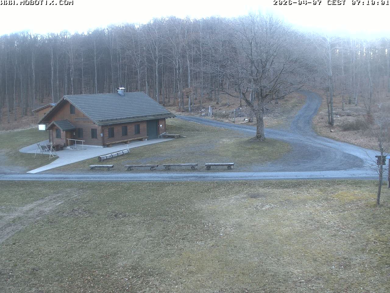 Archived image Webcam Hallenberg - Pastorenwiese