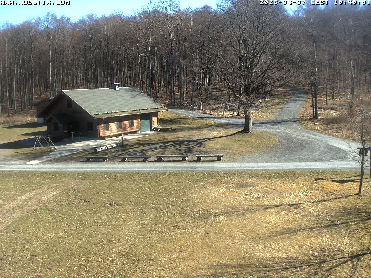 Archived image Webcam Hallenberg - Pastorenwiese