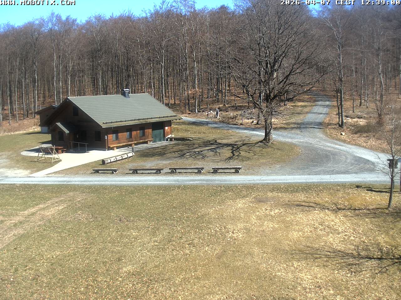 Archived image Webcam Hallenberg - Pastorenwiese