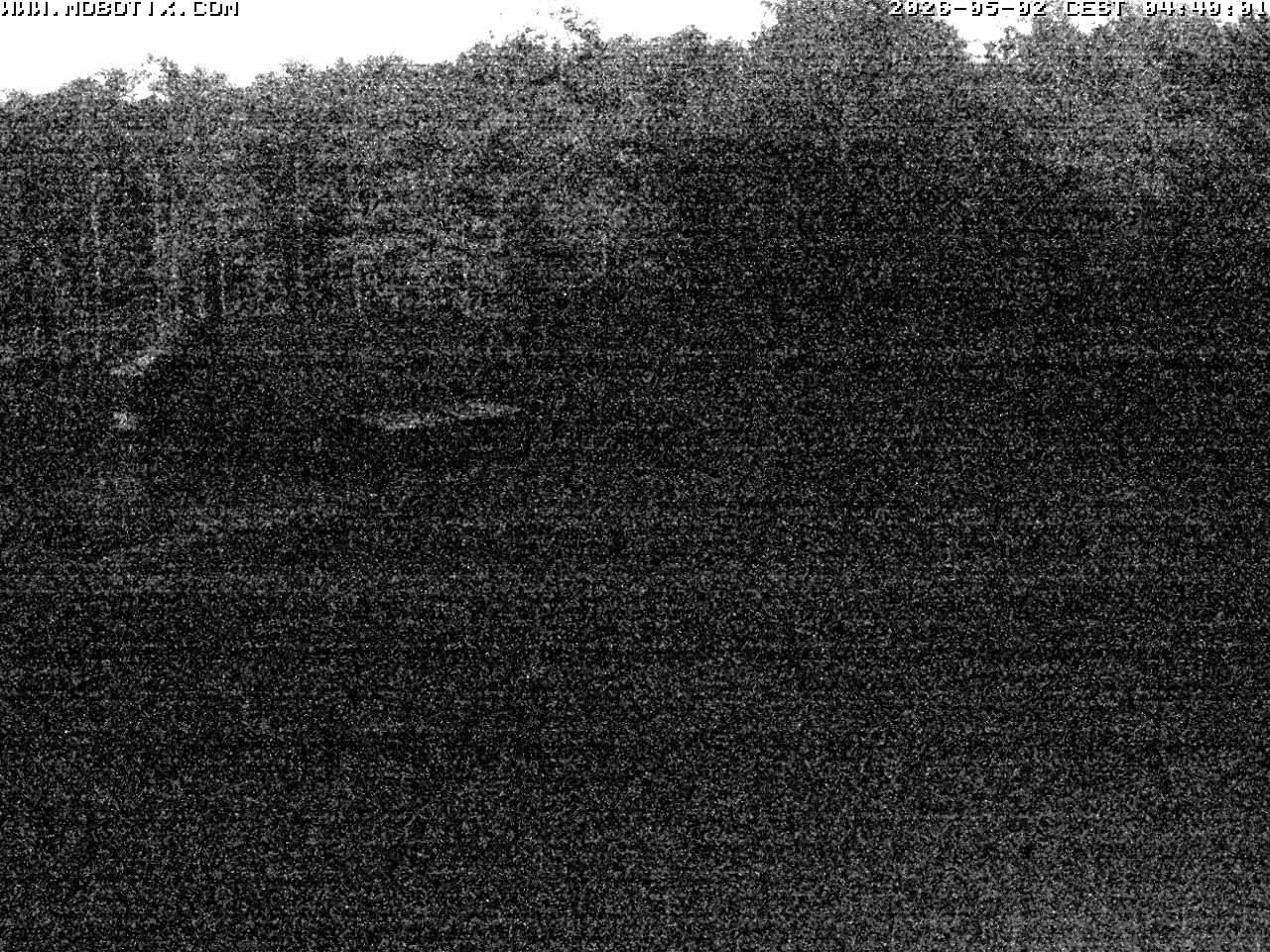 Archiv Foto Webcam Wunderthausen - Pastorenwiese