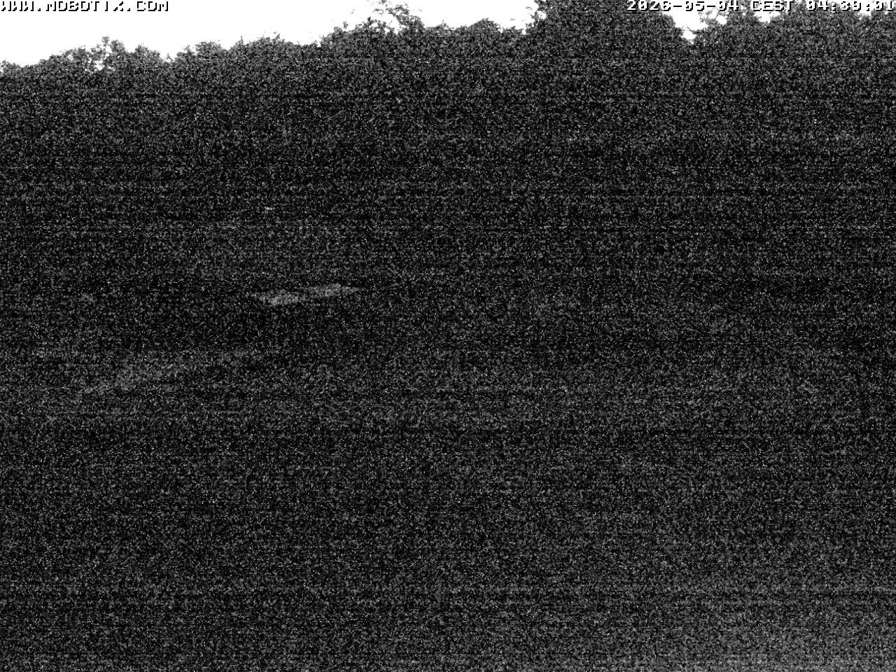 Archiv Foto Webcam Wunderthausen - Pastorenwiese