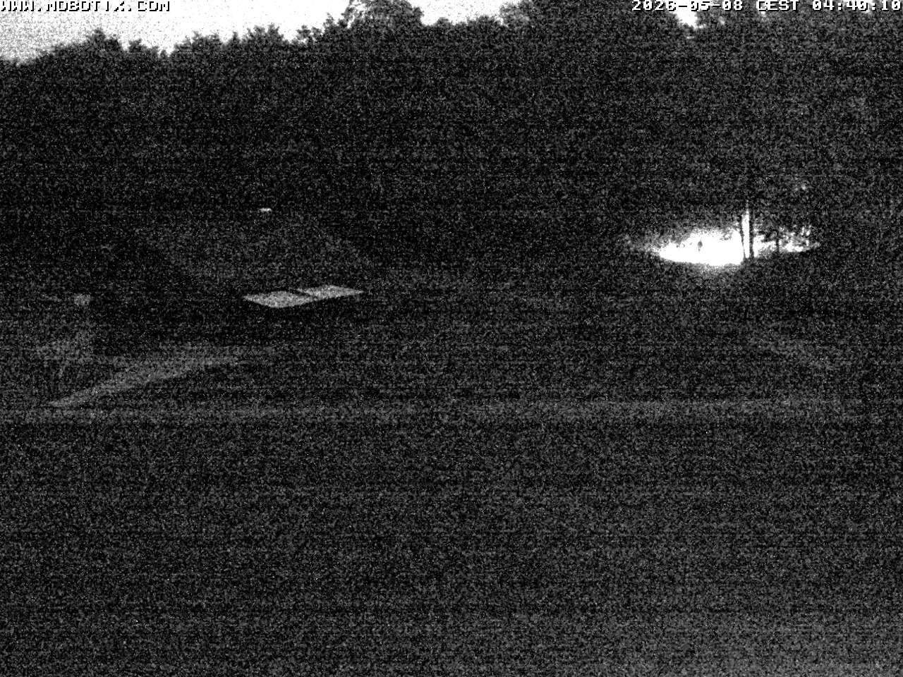 Archived image Webcam Hallenberg - Pastorenwiese