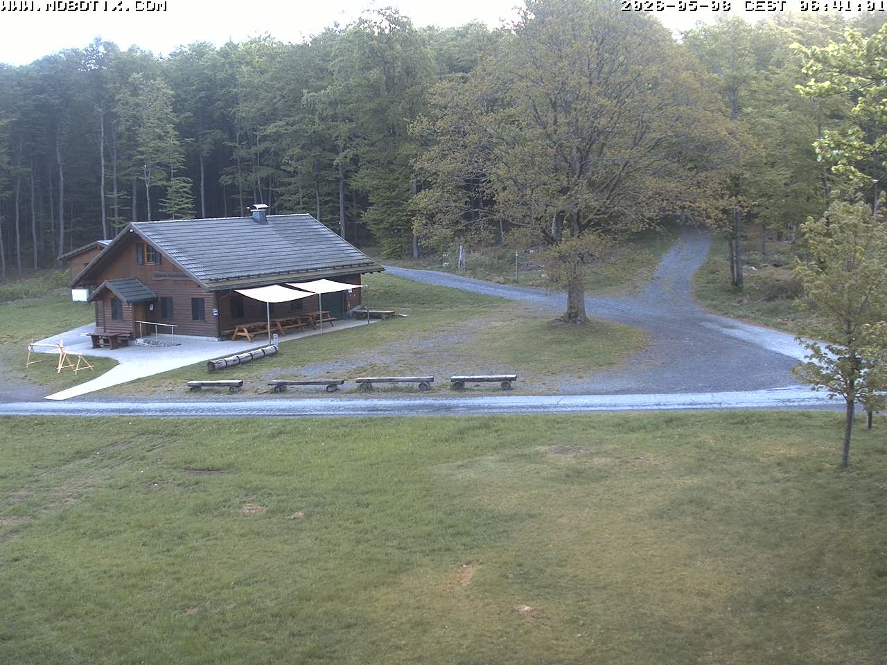 Archived image Webcam Hallenberg - Pastorenwiese