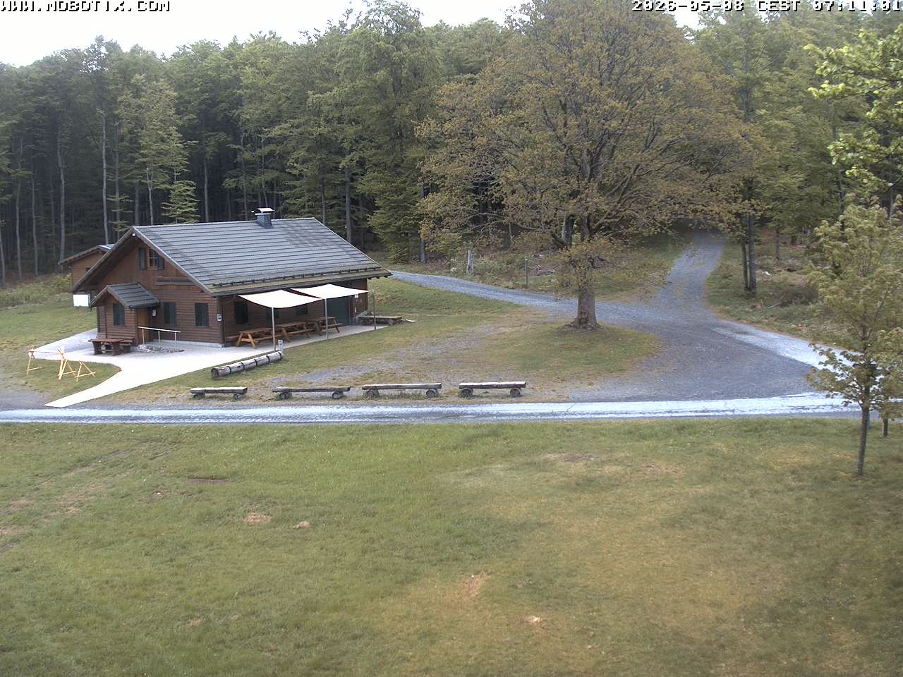 Archived image Webcam Hallenberg - Pastorenwiese
