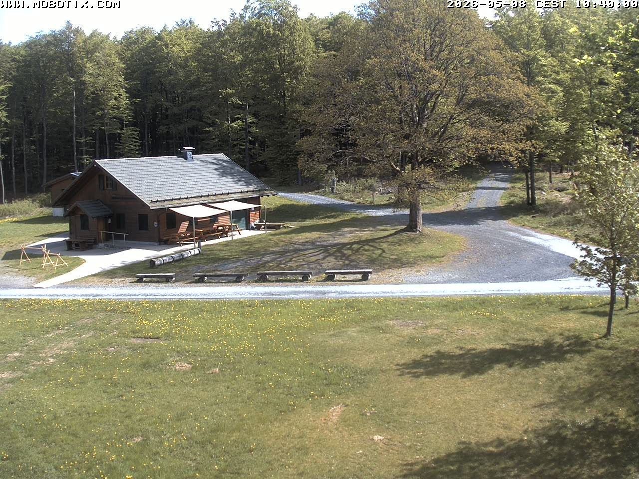 Archived image Webcam Hallenberg - Pastorenwiese