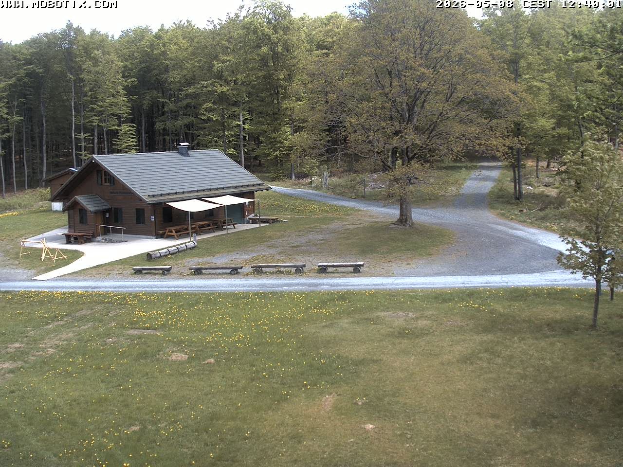 Archived image Webcam Hallenberg - Pastorenwiese