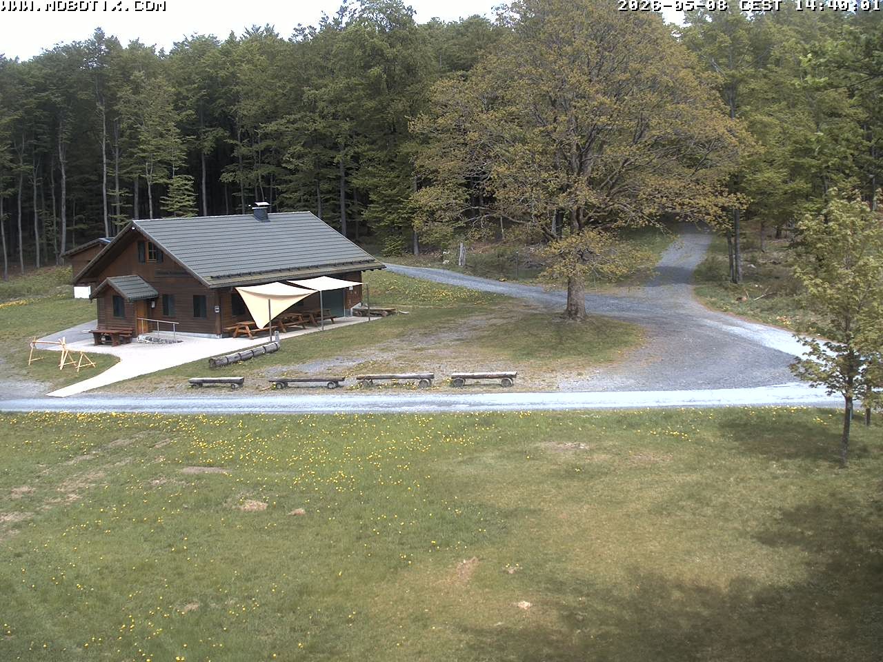Archived image Webcam Hallenberg - Pastorenwiese