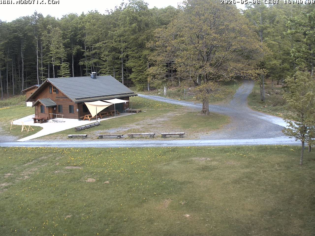 Archived image Webcam Hallenberg - Pastorenwiese