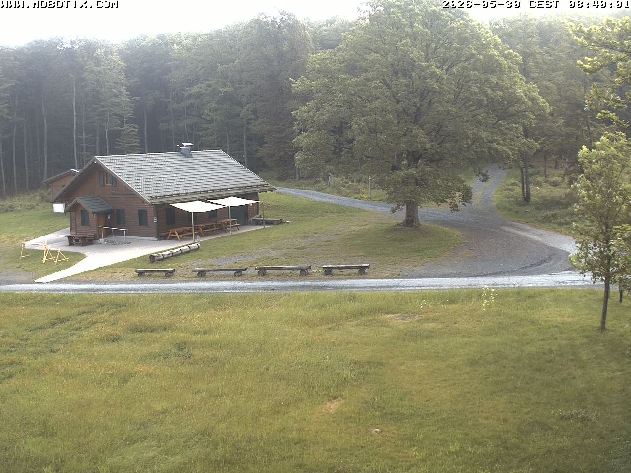 Archived image Webcam Hallenberg - Pastorenwiese