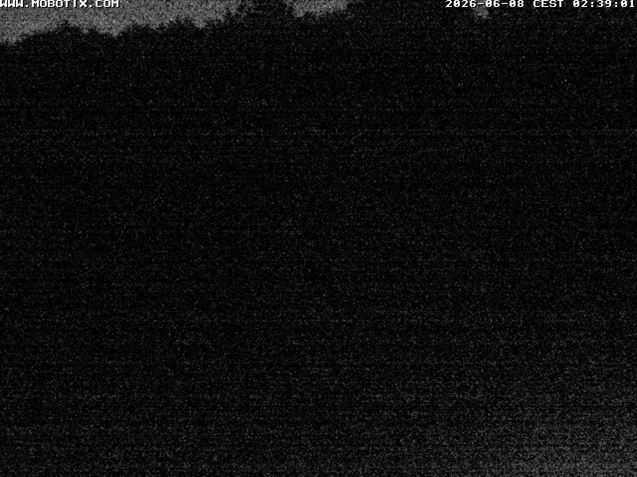 Archived image Webcam Hallenberg - Pastorenwiese