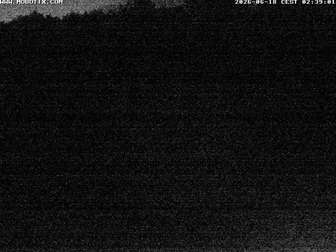 Archived image Webcam Hallenberg - Pastorenwiese