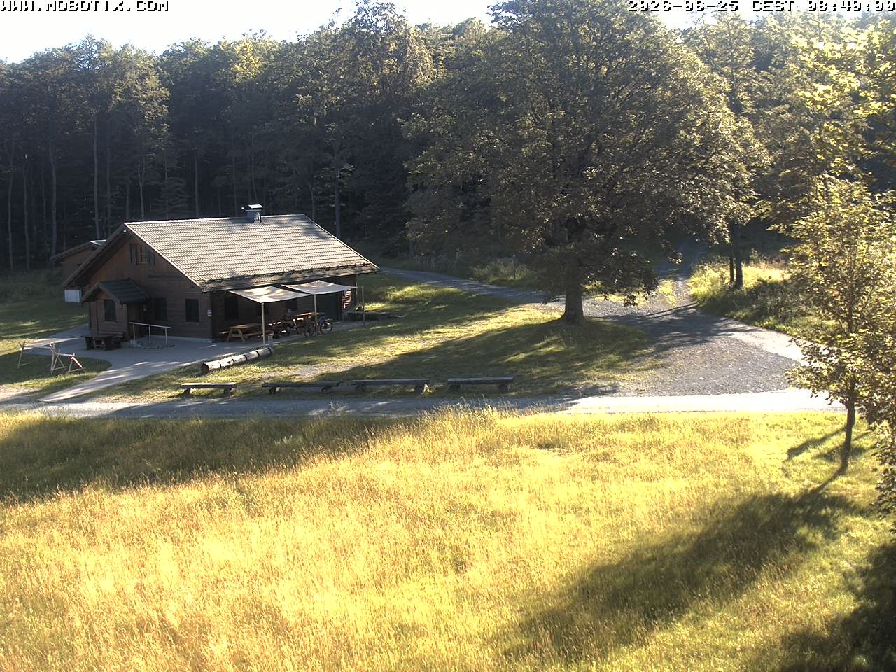 Archived image Webcam Hallenberg - Pastorenwiese
