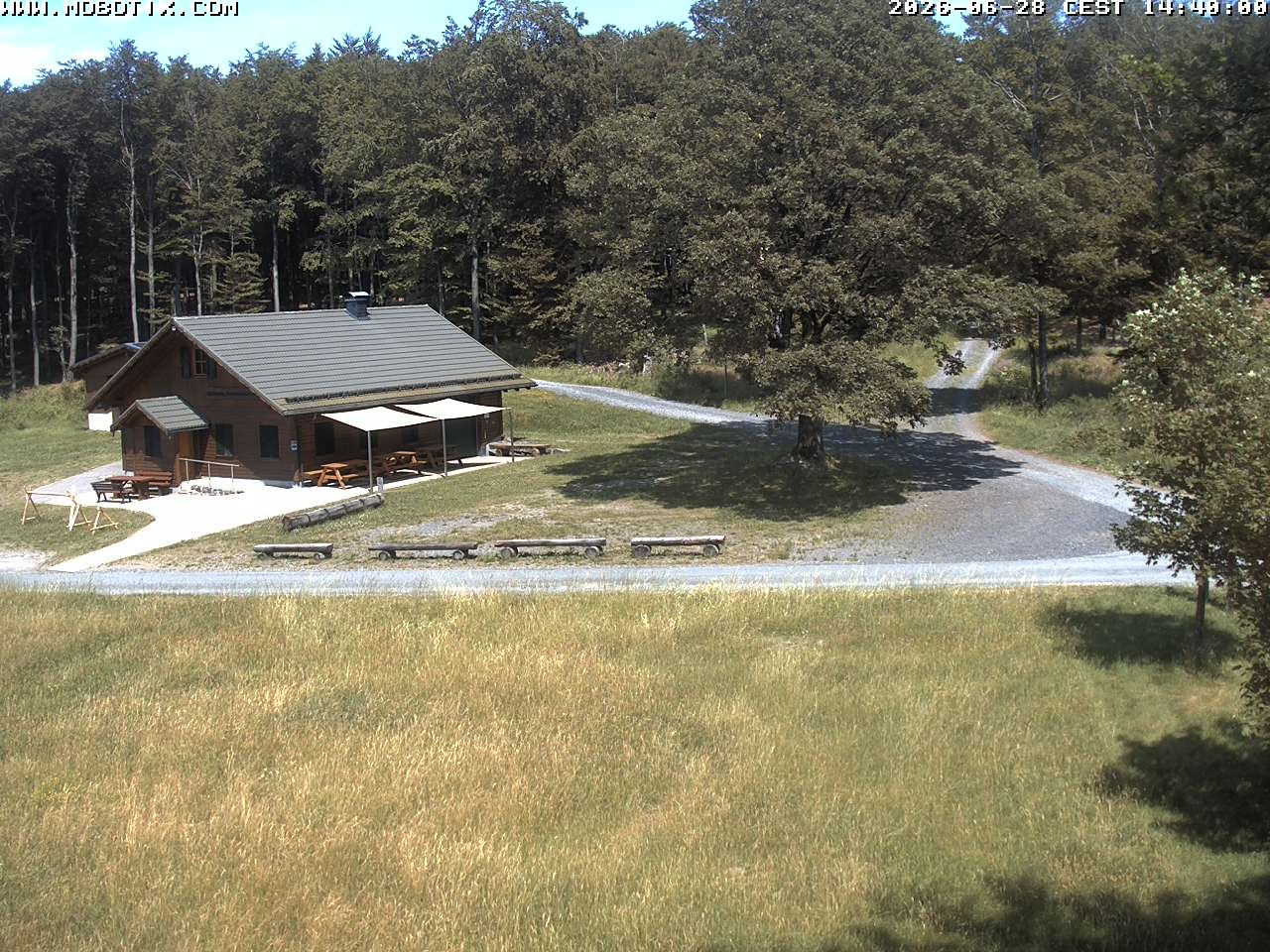 Archived image Webcam Hallenberg - Pastorenwiese